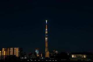 Randor Residence Tokyo Annex - 4