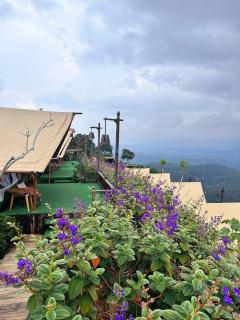 Cloud9 & Cloud View Glamping - Xuân Trường - 1