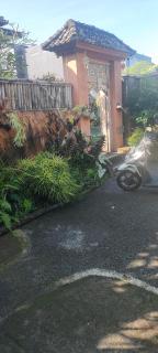 Budha bima - Ubud - 1