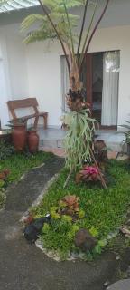 Budha bima - Ubud - 2
