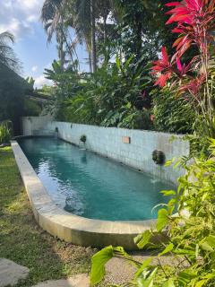 Heliconia, at T house kaja - Ubud - 9
