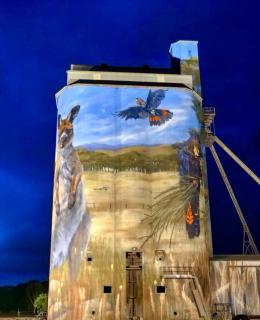 Owl House on the Corner - Kingscote - 7