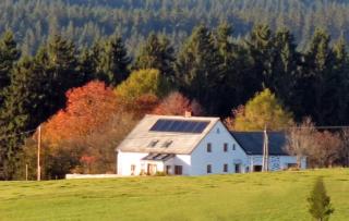 Retreat in the Bohemian Forest - Schöneben - 9
