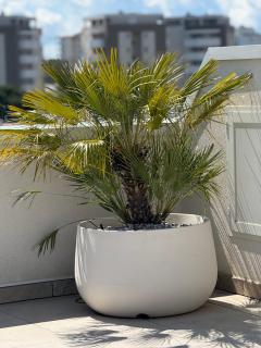 Attico Sole - Lido di Jesolo - 8