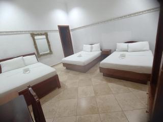 Hotel Las Canarias - Canoas - 6