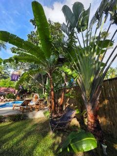 The Mellow Mango - Ko Lanta - 6