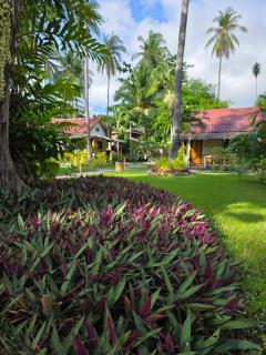 The Mellow Mango - Ko Lanta - 8