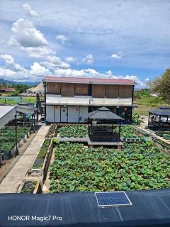 deLotus Villa - Simpang - 7
