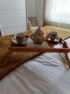 Apartma Tanya Bled - Bled - 8