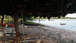 Jinta Beach Bungalow - Chaweng - 5