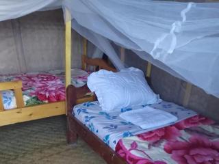 Weaver Bird Hostel - 9