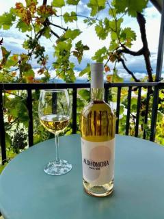 Hestia - Hotel, Wine and View - Telavi - 7