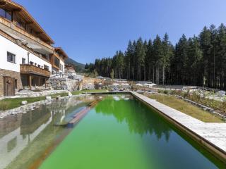 Nationalpark Chalet Daberspitze - Neukirchen am Großvenediger - 8