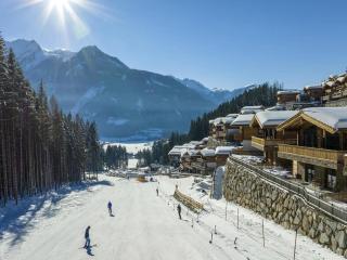 Nationalpark Chalet Blindis - Neukirchen am Großvenediger - 1