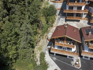 Nationalpark Chalet Reichenbergerspitze - Neukirchen am Großvenediger - 2