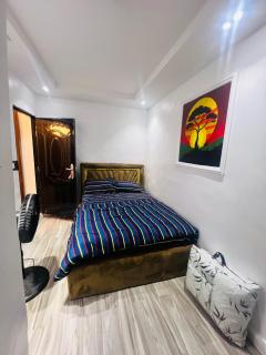 Ali Apartment - Lagos - 6