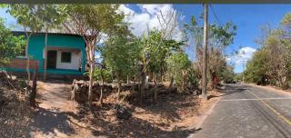 Dragonfly house - Las Pilas - 1