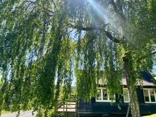 Chalet de la Troquette - Fauvillers - 1