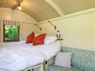 Hazel - Witney - 8