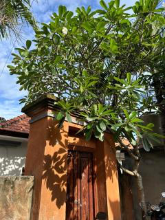 Verita Private Villa - Canggu - 8