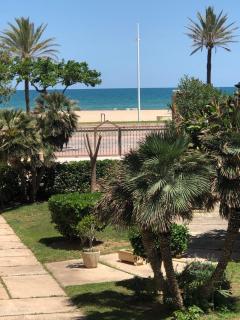 Vernisa Apartamento Numero Uno - Playa de Gandia - 1
