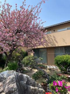 Sakura house - 9