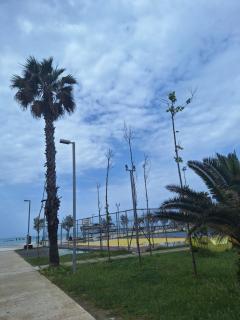 Vollga - Durrës - 4