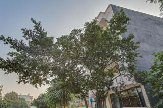 Hotel O RN Residency - Ghaziabad - 9
