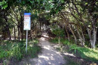 Murrays Beach Studio Sawtell - Sawtell - 8