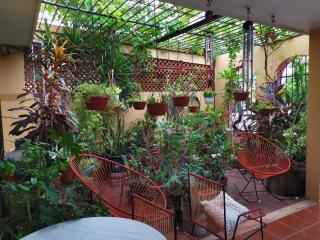 Casa Colibrí - Mérida - 4