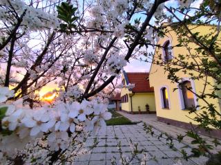 Idylický rodinný penzión Arkádia pri Dunajskej cyklotrase - Kyselica - 0