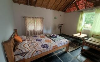 Nyoka Hampi - Hospet - 1