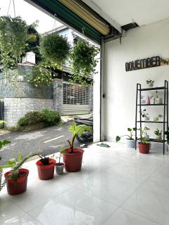 Homestay Đà Lạt Giá Rẻ - The November Stay - 2