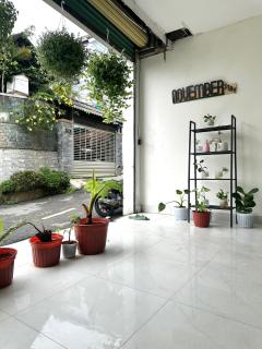 Homestay Da Lat - The November Stay - Ngo Quyen - Ấp Ða Thành - 3