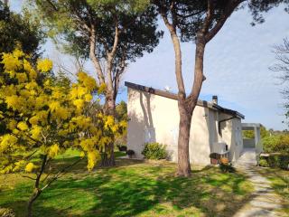 Villa Matilde only 10 min from the beach - Novilara - 6