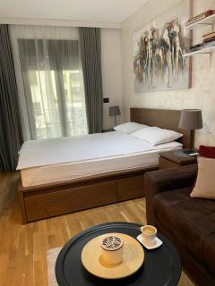 Studio 6 - Zlatibor - 7