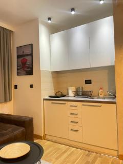 Studio 6 - Zlatibor - 6
