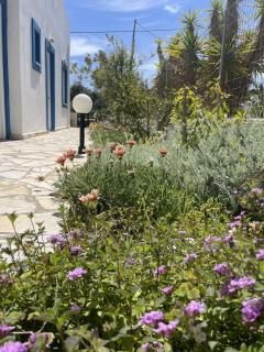 Stavros Seaside Apartment - Unit 5 of 8 - Stavros - 2