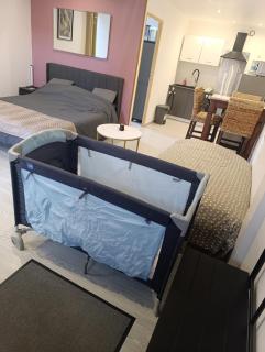 Grand studio dans maison alsacienne - - 8