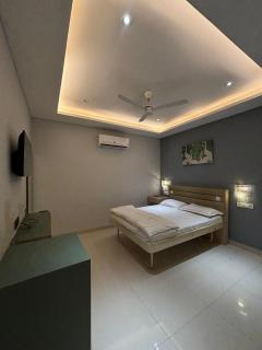 Mestays - Gwalior - 9