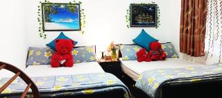 Nobel Bungalow - Nuwara Eliya - 9