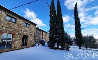 Agriturismo Santa Maria - Poggio Aquilone - 3