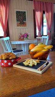 Kuća za odmor Mirna Zagorka sa privatnim bazenom i wellnessom - 1