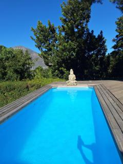 Private Nature Estate with Views Gym Pool Wifi - Kaapstad - 7