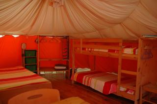 camping roussel - Saint-Paul-dʼEspis - 2