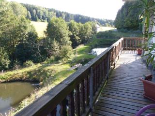 Alluring Apartment in Schönsee in the forest - Schönsee - 7