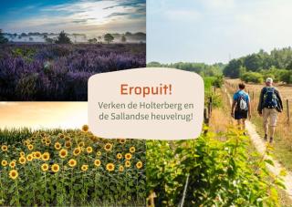 Vakantiepark Hölte - Rijssen - 5