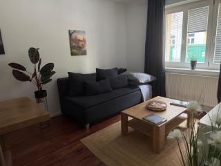 Comfort Humboldt Apartment - Wenen - 7