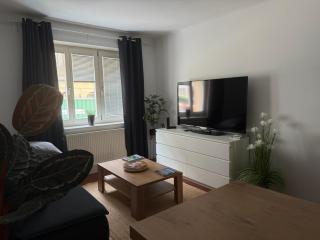 Comfort Humboldt Apartment - Wenen - 9