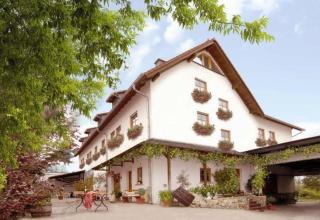 Winzerhotel Kinges-Kessel - Mörstadt - 0